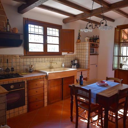 Villa Laura Montescudaio Esterno foto