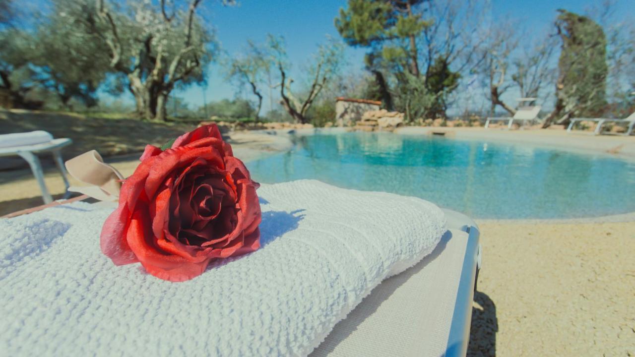 Villa Laura Montescudaio Esterno foto